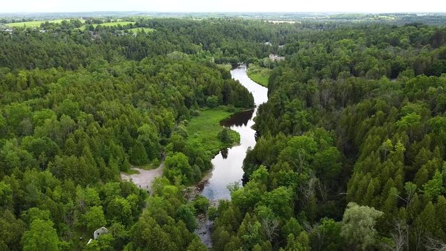 Drone circling over a river cutting through a forest on a summer day in Rockwood.