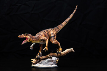 Fototapeta premium The Velociraptor dinosaur in the dark