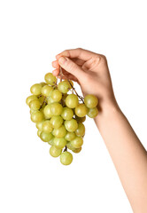 Female hand holding grapes isolated on white background
