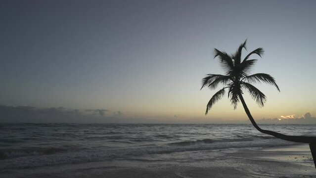Waves lapping on the beach and palm trees at sunrise, Bavaro Beach, Punta Cana, Dominican Republic, West Indies, Caribbean, Central America