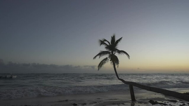 Waves lapping on the beach and palm trees at sunrise, Bavaro Beach, Punta Cana, Dominican Republic, West Indies, Caribbean, Central America