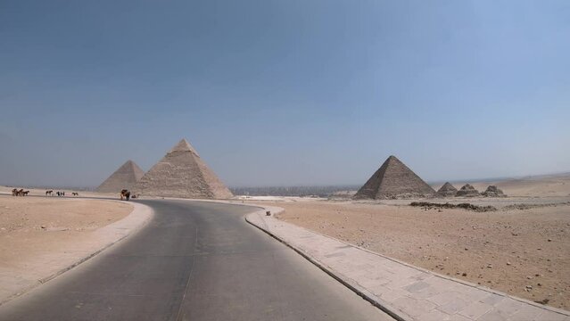 Hose drawn carriage on the road to the great pyramids in Cairo, tourist on horse carriage POV