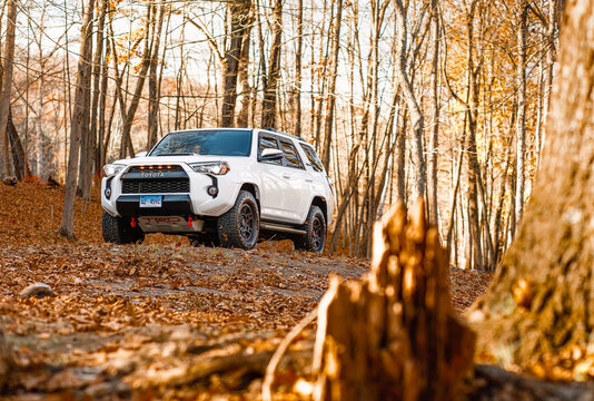 Toyota 4Runner TRD Pro SUV off road, dirt trail, autumn Fall, woods forest