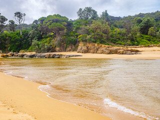 Palastine Creek Estuary
