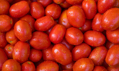 group of red tomatoes for background