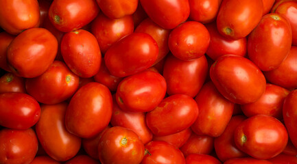 group of red tomatoes for background