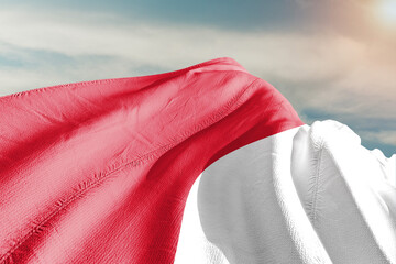 Monaco national flag cloth fabric waving on beautiful grey sky.