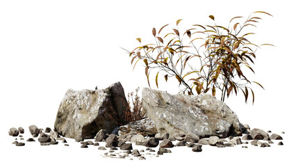 desert scene cutout, dry plants with rock, isolated on transparent background  - 585984644