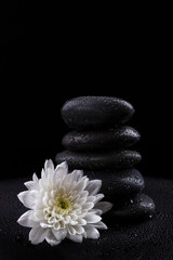 Fototapeta na wymiar Zen basalt stones and white flower