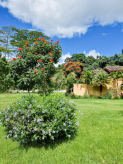 Panama, surroundings of Boquete, tropical gardens
