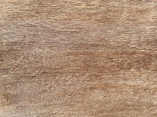 texture of wood background 