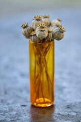 Vertical shot of of dried poppy heads with stem in yellow vase on wet ground