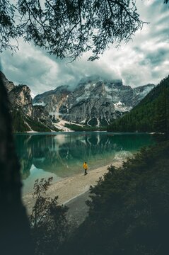 รูปภาพShor – เลือกดูภาพถ่ายสต็อก เวกเตอร์ และวิดีโอ942 | Adobe Stock