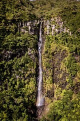 Vertical of a waterfall flowing down from the rock surrounded by trees.