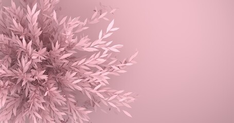 Unobtrusive botanical background with shadow on the wall — trendy cover, postcard. a showcase on a light pastel background for a premium product -3D rendering