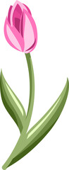 Tulip png graphic clipart design