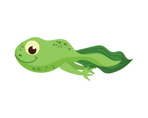 Smiling green baby tadpole