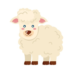 Cute woolly sheep