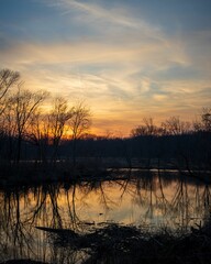 Obraz premium Vertical shot of a river and a field at sunset in Sportsman Park