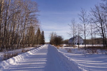 Elk Island National Park in Winter