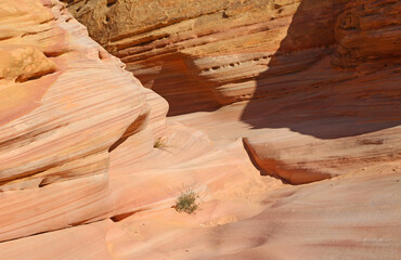 Pink canyon - Valley of Fire State Park, Nevada