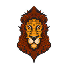 Abstract hand drawn cute male lion head