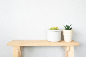 cactus in pot on wooden shelf