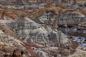 Petrified Forest National Park, a natural attraction place with many petrified tree trunks and fossils, in Arizona, USA.