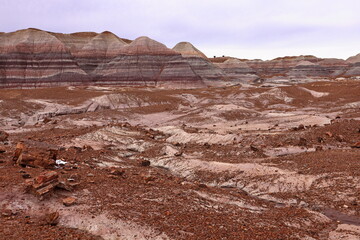 Petrified Forest National Park, a natural attraction place with many petrified tree trunks and...