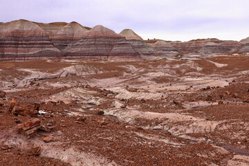 Petrified Forest National Park, a natural attraction place with many petrified tree trunks and fossils, in Arizona, USA.