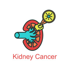 kidney cancer icon flat color