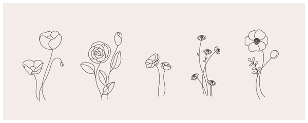 minimal line flower and botanical graphic sketch drawing, trendy tiny tattoo design, floral elements vector illustration