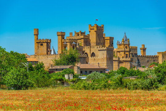 Royal Palace of Olite in Spain