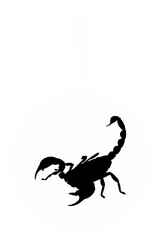 Scorpion on the Pan Silhouette for Bizarre or Extreme or Exotic Food, Traditional Food in Asian Country, Culinary Sign for Icon Symbol, Apps, Pictogram, Logo, Website, or Graphic Design Element. PNG