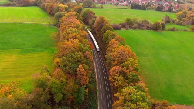 aerial view train autumn forest
