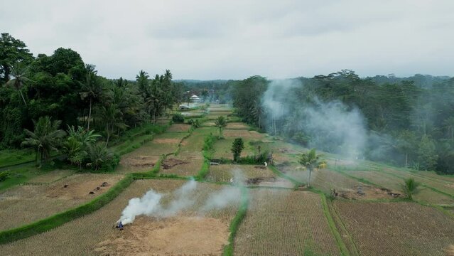 Top view of rice fields with smoke and farmers, Bali, Indonesia, forward shot