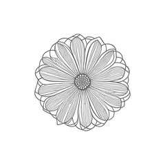 Wonderful flower. Vector illustration. Coloring book page for adults. Black and white line. Love bohemia concept for wedding invitation cards, branding, Coloring page, and label.