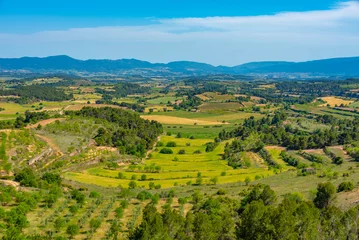 Zelfklevend Fotobehang Agricultural landscape of Catalunya region in Spain © dudlajzov