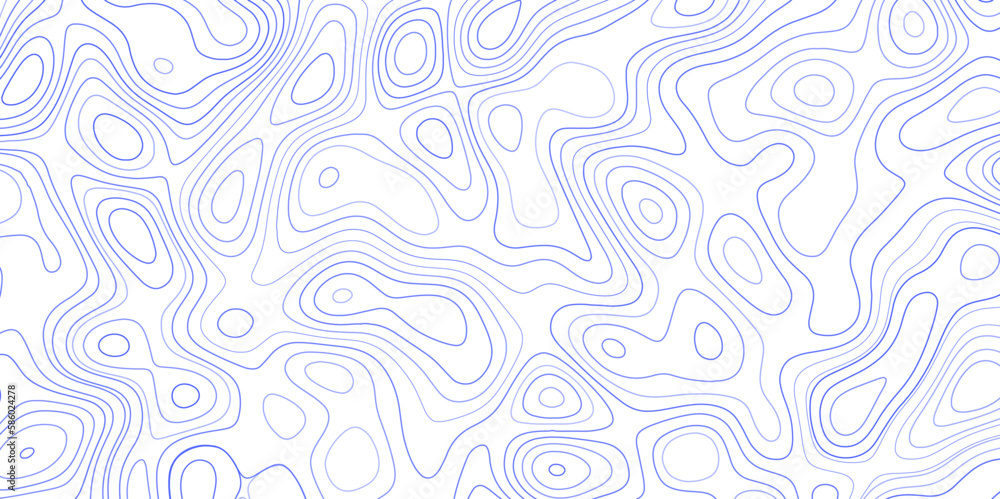 Fototapete topographic map backdrop. conditional geography scheme and the terrain path. contour line abstract b