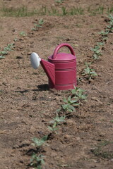 Plastic Watering Pot on a Field.