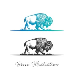 Bison Hand Drawn Engraving Illustration and Vector Stock © Rustic