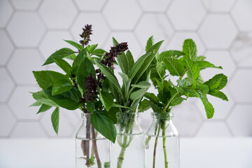 fresh herbs in glass vases in modern kitchen