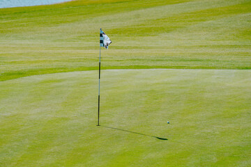 Golf flag on the green