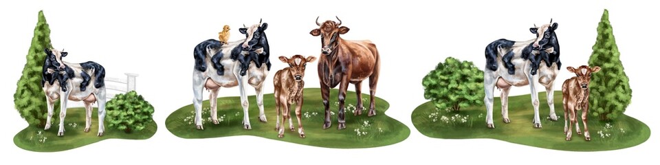 A farmer's set of compositions of a cow, bull and calf among bushes in a meadow in the village. For compositions, packaging design, textiles, booklets. Isolated illustration on a white background