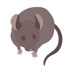 正面を向くハツカネズミ。フラットなベクターイラスト。
Facing forward house mouse. Flat designed vector illustration.