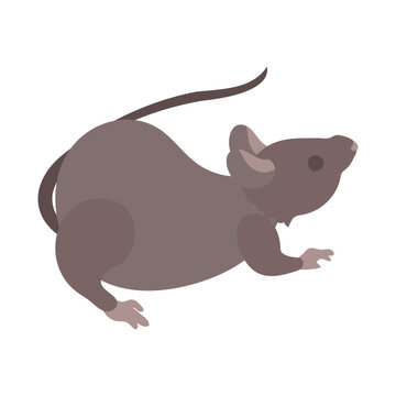 飛びかかろうとするハツカネズミ。フラットなベクターイラスト。
A jumping house mouse. Flat designed vector illustration.