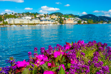 Waterfront of lake Lucerne with a church in Luzern behind a flower pot, Switzerland
