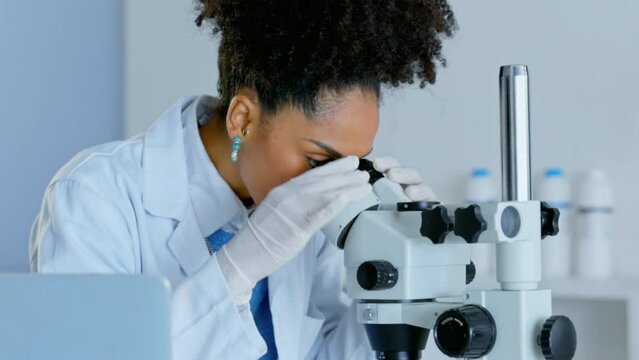 Woman, laptop and forensic science with microscope for discovery or breakthrough at laboratory. Serious female scientist working on computer in search for cure or scientific research in biology lab