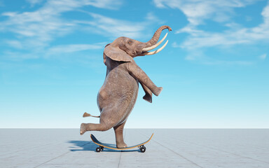 Elephant on skateboard. Impossible and happiness concept