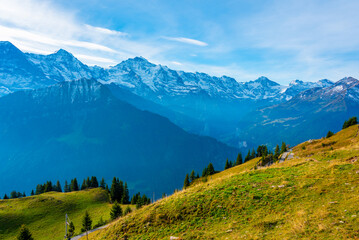 Panorama view of Bernese Alps from Schynige Platte in Switzerland